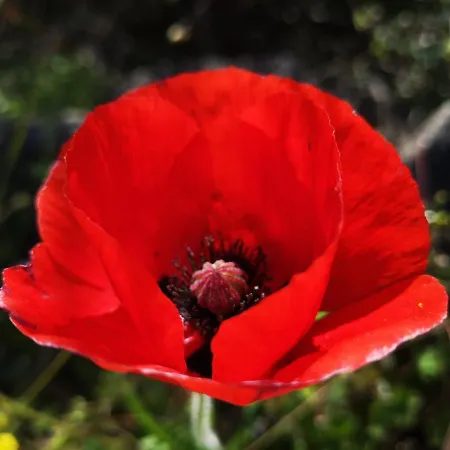 Διαμέρισμα 5 Min To Sea And Palais Des Festivals Κάννες