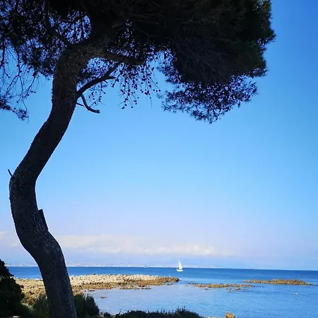 5 Min To Sea And Palais Des Festivals Διαμέρισμα Κάννες