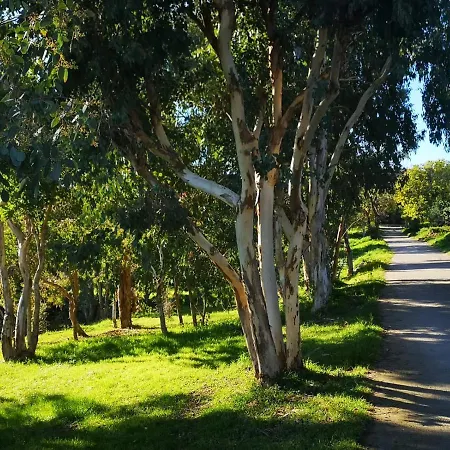 Appartement 5 Min To Sea&palais Des Festivals Cannes