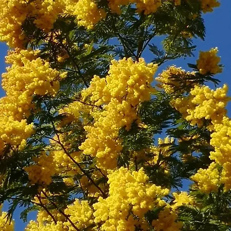 5 Min To Sea And Palais Des Festivals *